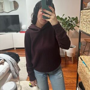 Theory Hoodie Sweater